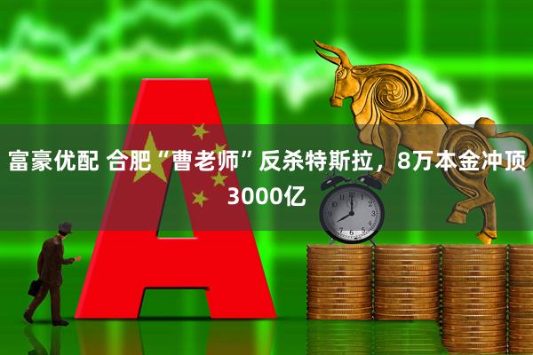 富豪优配 合肥“曹老师”反杀特斯拉，8万本金冲顶3000亿