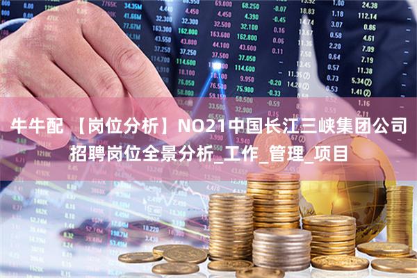 牛牛配 【岗位分析】NO21中国长江三峡集团公司招聘岗位全景分析_工作_管理_项目