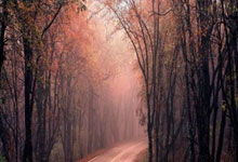 股票赢家app:借杠杆炒股-9月2日国内四大证券报纸、重要财经媒体头版头条内容精华摘要